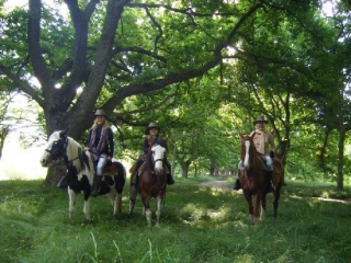  Horseback riding 